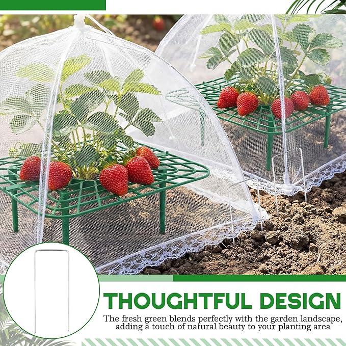 1 Sets Square Strawberry Plant Support with Mesh Plant Cover, Strawberry Growing Kit with Iron Nails for Garden Vegetables Keep Berries Clean
