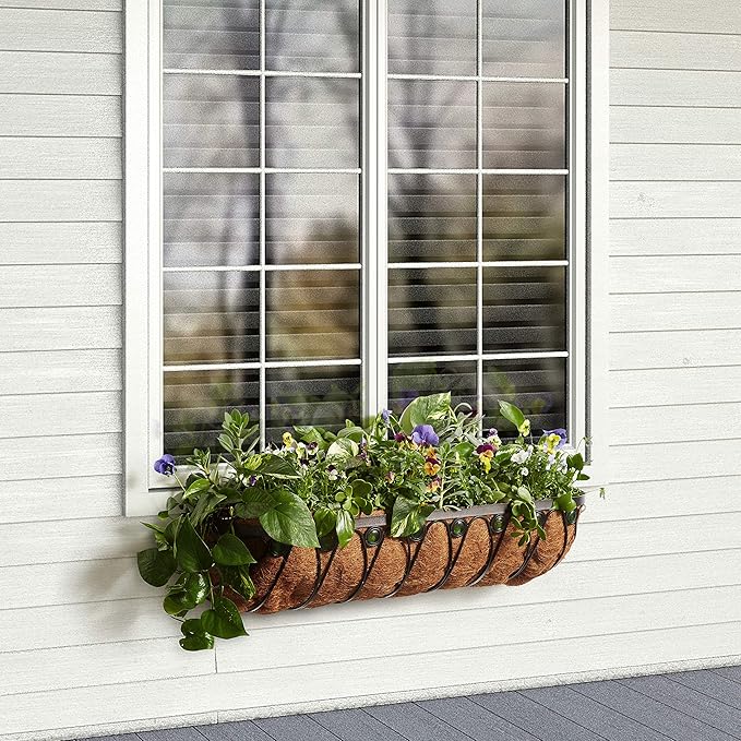 Arcadia Garden Products Arcadia Emerald Series Wall Trough Planter, 36-Inch, Black (CB07)