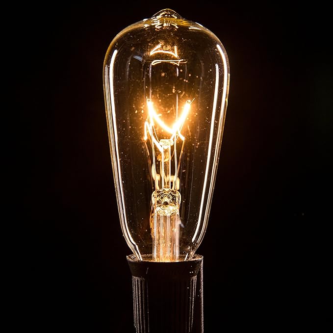 Hometown Evolution, Inc. Commercial Grade Vintage Edison Outdoor String Lights (ST40 Clear - Commercial Black Wire, 100 ft)