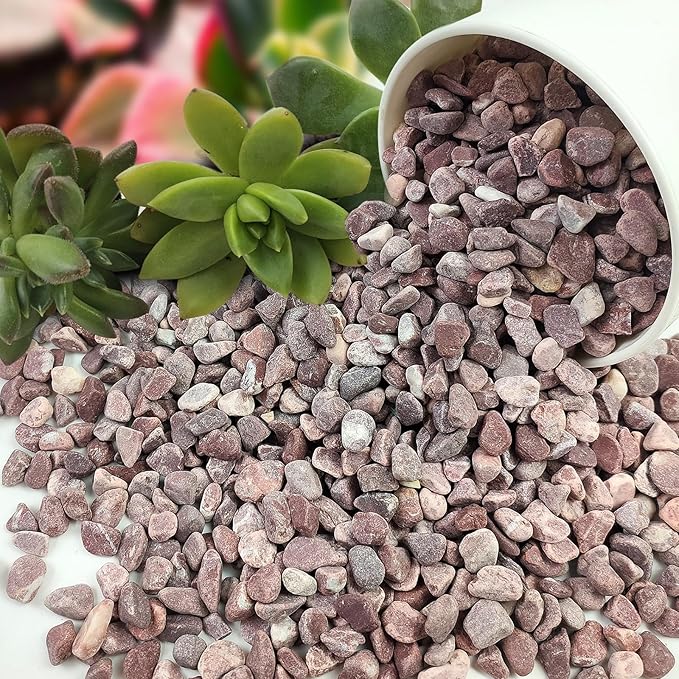 10 lbs Pebbles for Plants, 3/8 Inch Pea Gravel Stones Decorative Red River Rocks for Succulent, Cactus, Landscaping, Vases, Terrarium, Aquarium, Potted Top Dressing and Outdoor Garden