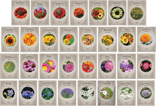 Set of 124 Premium Variety Flower Seed Packets - Heirloom Non-GMO and Proudly Sourced in The USA (124)