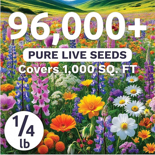 Pacific Northwest Regional Mix - Bulk 1/4 Pound Pouch - 96,000 Flower Seeds for Planting - Wildflower Mix