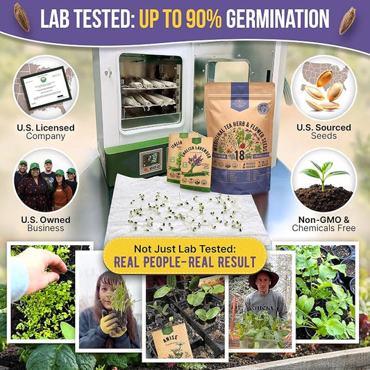 18 Medicinal Tea Herb & Flower Seeds Variety Pack - 6,100+ Non-GMO Heirloom Flower Seeds for Outdoor and Indoor Home Gardening, Including Anise, Borage, Catnip, Chamomile, Dandelion, Lavender, Sage