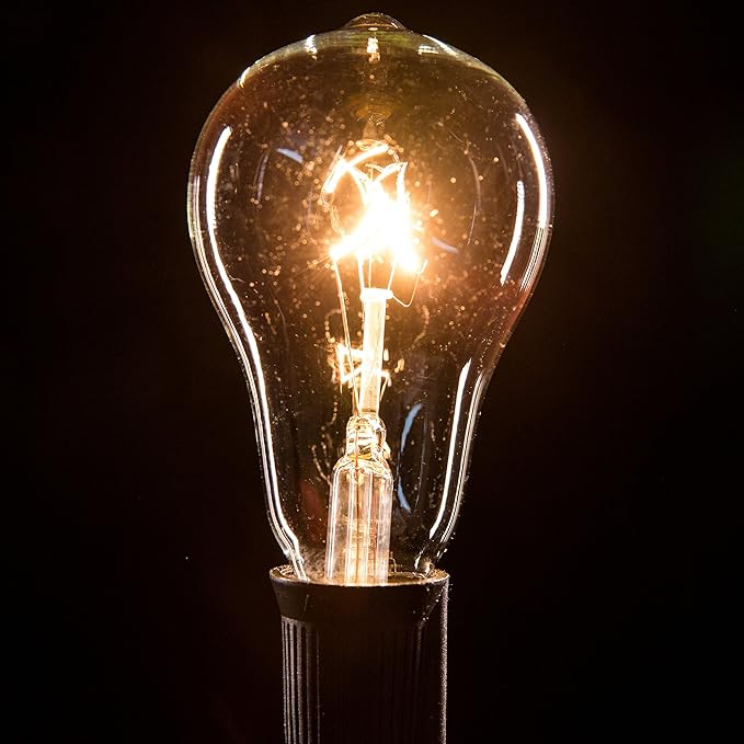Hometown Evolution, Inc. Commercial Grade Vintage Edison Outdoor String Lights (PS50 Clear - Commercial Black Wire, 25 ft)