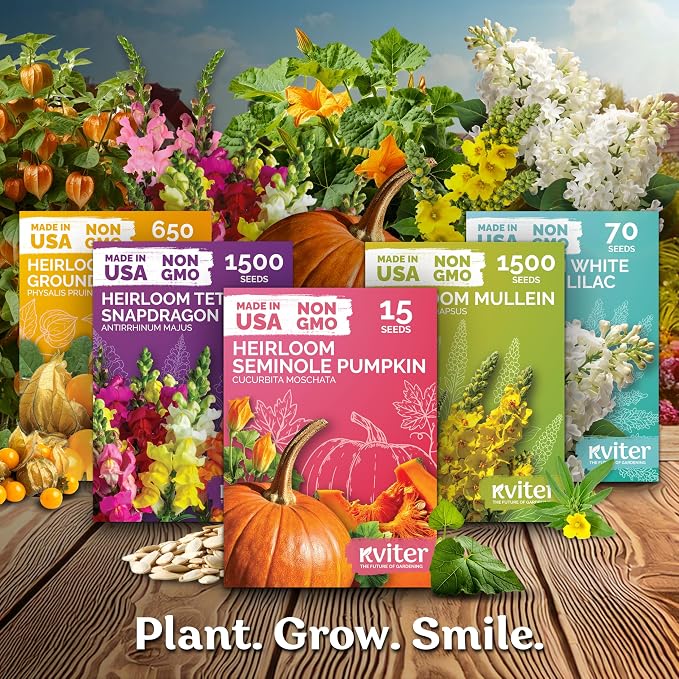 KVITER 55 Hot Pequin Pepper Seeds (Capsicum Annuum) Chile Piquin, Spicy, Heat Tolerant, Heirloom, Non GMO Seed Packets - Annual Vegetable Seeds for Containers, Greenhouses, Vegetable Garden