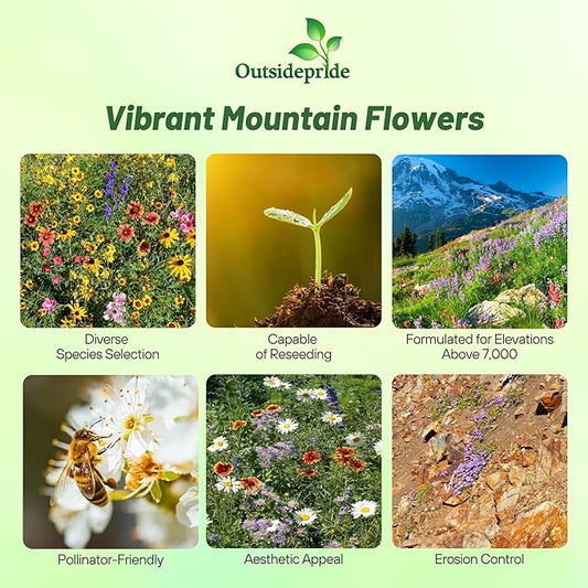 Outsidepride Mountain Wild Flower Seed Mix - 1/4 lb Premium Blend of Annual & Perennial Wildflower Seeds for High-Elevation, USDA Zones 3-8, Ideal for Mountain Gardens, Low-Maintenance & Easy to Grow