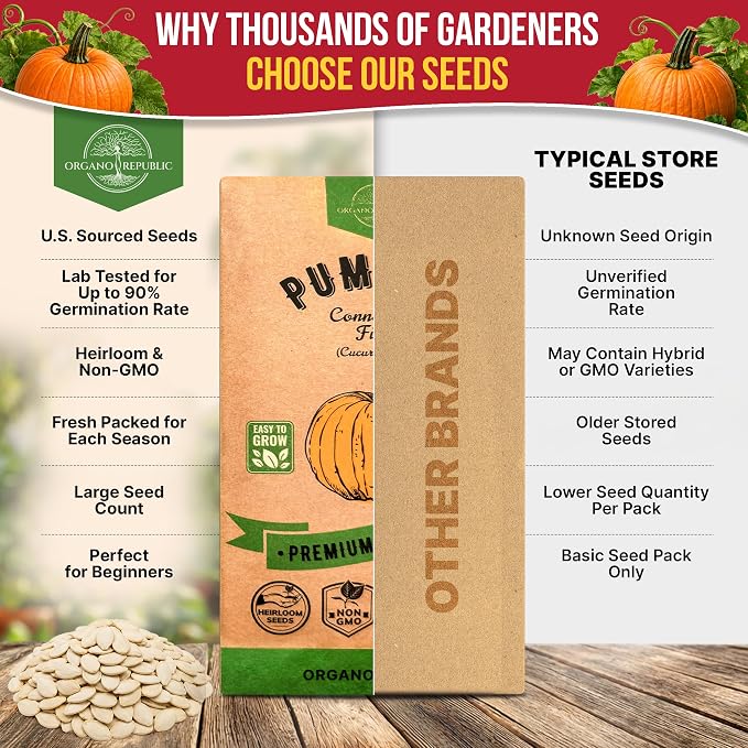 Organo Republic Pumpkin Connecticut Field Seeds Pack, 10G - Over 60 Non-GMO Heirloom Pumpkin Seeds for Planting Vegetables in Individual Seed Packet, Vegetable Seeds for Indoor & Outdoor Gardening