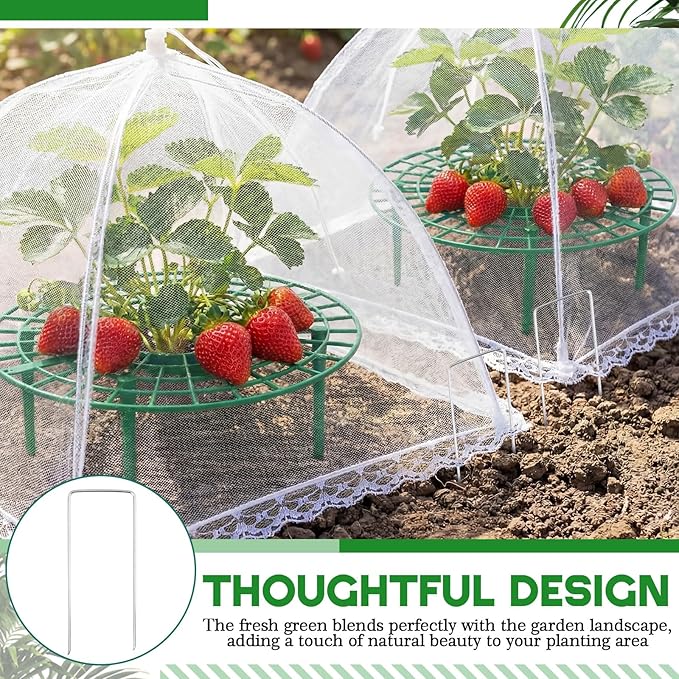 1 Sets Round Strawberry Plant Support with Mesh Plant Cover, Strawberry Growing Kit with Iron Nails for Garden Vegetables Keep Berries Clean