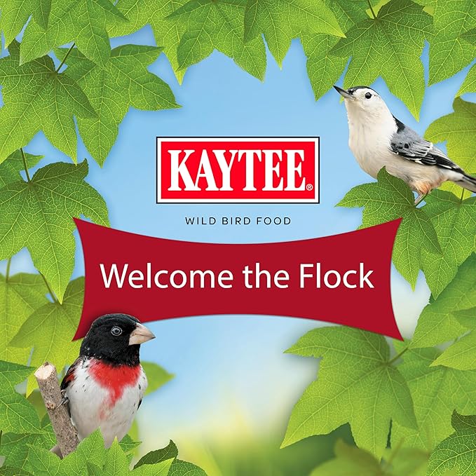 Kaytee Wild Bird Finch Food Blend, 5 lb (Pack of 2)