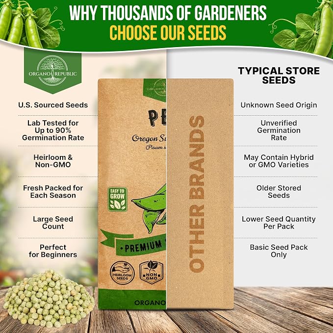 Organo Republic Pea Oregon Sugar Pod II Seeds Pack 15G - Over 75 Non-GMO Heirloom Pea Seeds for Planting Vegetables in Individual Seed Packet, Vegetable Seeds for Planting Home Garden Indoor & Outdoor