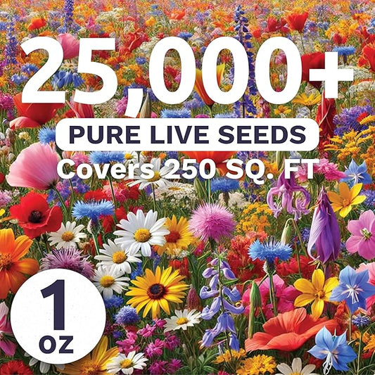 Rocky Mountain Regional Mix - Large 1 Ounce Packet - 25,000 Flower Seeds for Planting - Wildflower Mix