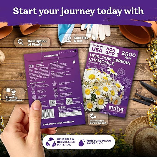 KVITER 2,500 German Chamomile Seeds for Planting (Matricaria Chamomilla/Recutita) – Heirloom & Non-Gmo Medicinal Herb Seeds, Flowers for Remedies & Chamomile Tea Organic – Indoors/Outdoors Herb Garden