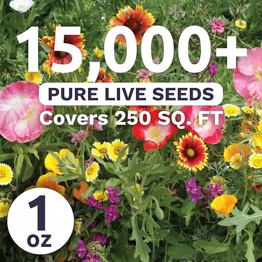 Southwest Regional Mix - Large 1 Ounce Packet - 15,000 Flower Seeds for Planting - Wildflower Mix