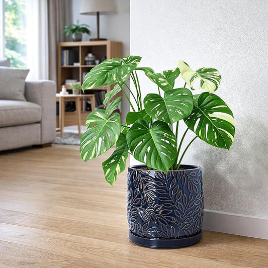 D'vine Dev 10 Inch Embossed Leaves Stoneware Planter Pot with Drainage Hole and Saucer, Midnight Blue, 27-A-P-3