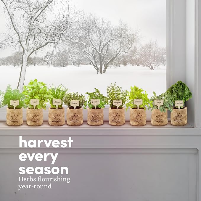 Planters' Choice 9 Herb Indoor Window Garden Kit - Birthday Gifts - House Plants Seeds - Best Unique Gift Ideas for Women, Mom, Friend, Her, Housewarming, Mother - Live Plant Starter, Gardening Lovers