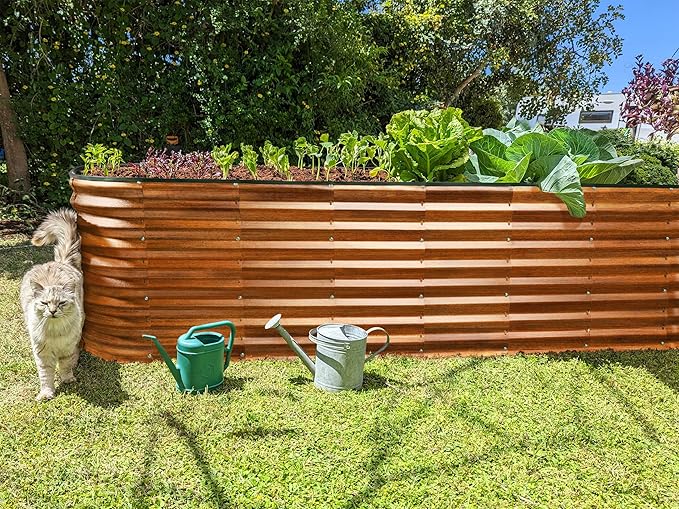 Plant & Plot Galvanized Raised Garden Beds Outdoor // 8×2×2 ft Planter Raised Beds for Gardening, Vegetables, Flowers (Dark Wood Grain) // Large Metal Garden Box // Patented Tool-Free Design