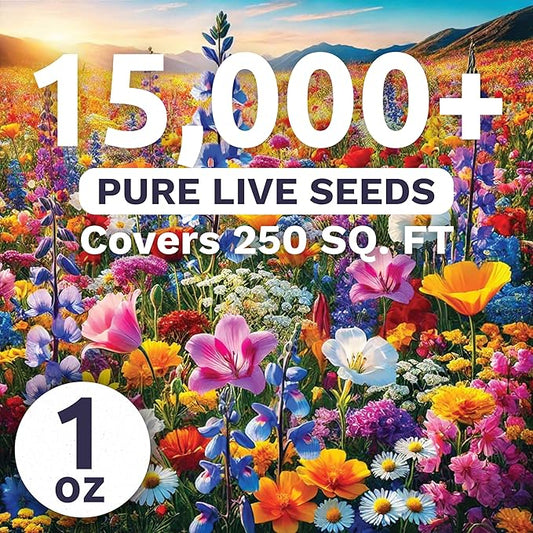 Midwest Regional Mix - Large 1 Ounce Packet - 15,000 Flower Seeds for Planting - Wildflower Mix