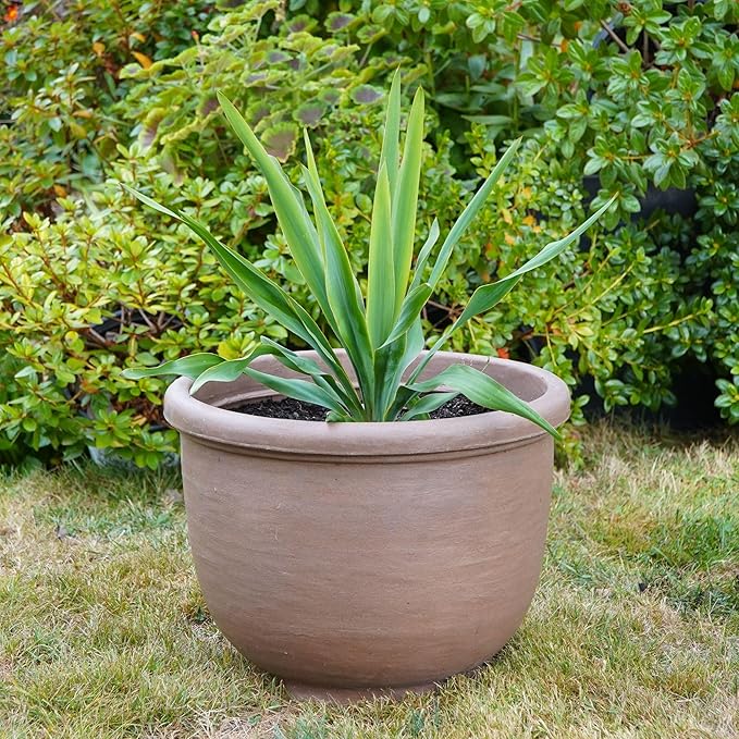 Crescent Garden Agave Planter, Classic Lightweight Resin Planter - UV-Resistant Flower Pots - Indoor & Outdoor Pot for Flowers, Houseplant, Herbs, 14" W x 11" H (Rust)