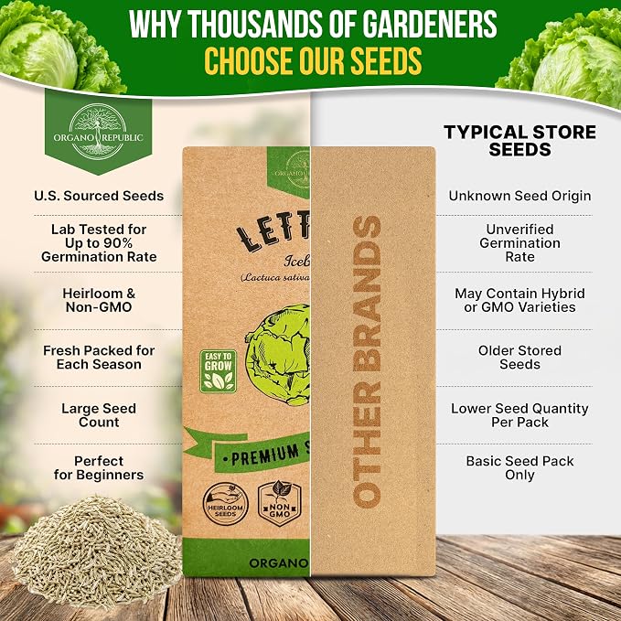 Lettuce Iceberg Seeds Pack 3G - Over 3,100 Non-GMO Heirloom Lettuce Seeds for Planting Greens in Individual Seed Packet, Greens Seeds for Planting Home Garden Indoor & Outdoor Gardening
