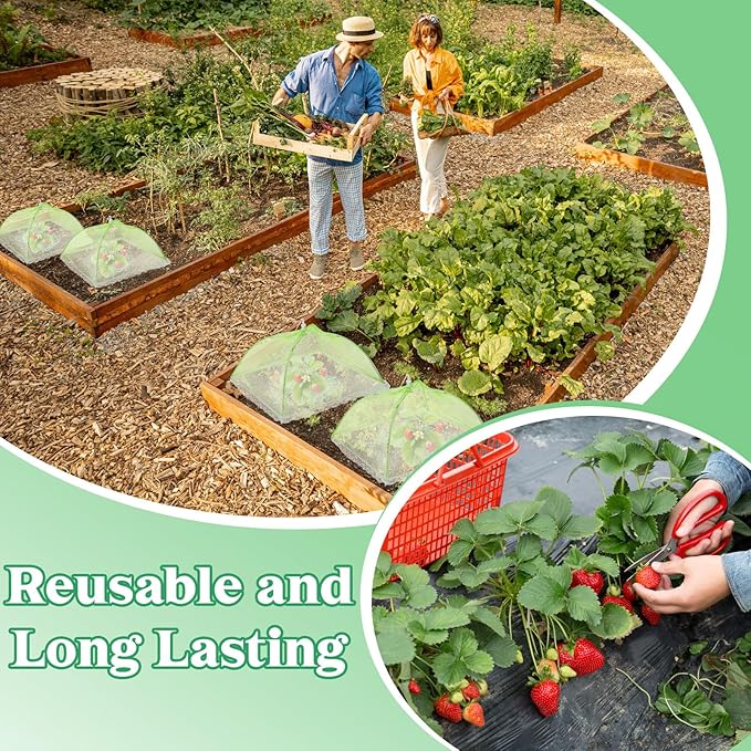 FoldTier 6 Sets Strawberry Supports with Plant Protectors from Animals, Strawberry Growing Racks and Mesh Plant Cover with Plastic Lawn Stakes and Storage Bag for Strawberry Vegetables (Light Green)