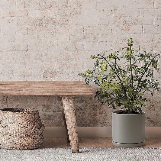 D'vine Dev Set of 2 Plants Pots, 8 Inch Ceramic Planter Pot for Plants with Drainage Hole and Saucer, Speckled Grey, 94-V-D-3