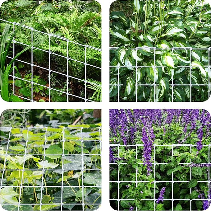 iPower 4' x 4' Grow Room Trellis Netting for 59"x59" Room, Heavy-Duty Elastic Plant Net with Hooks, Flexible Hydroponics Support for Climbing Plants, Vegetables, Fruits, Flowers, Vines (Pack of 2)