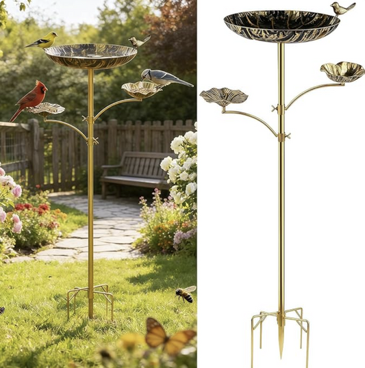 Best Bird Feeder Ideas to Make Your Patio More Beautiful