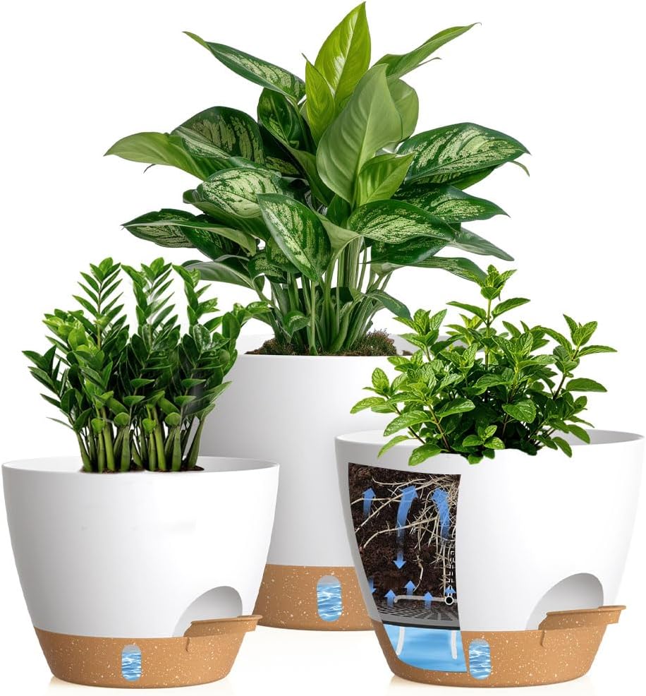 Why Are My Plants Dying in a Self-Watering Planter? 7 Common Mistakes to Avoid