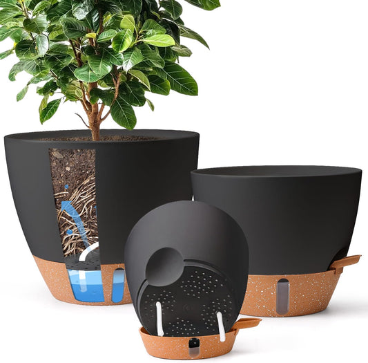 How to Use a Self-Watering Planter (Beginner Guide That Actually Works)