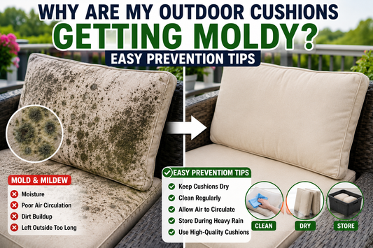 Why Are My Outdoor Cushions Getting Moldy? Easy Prevention Tips