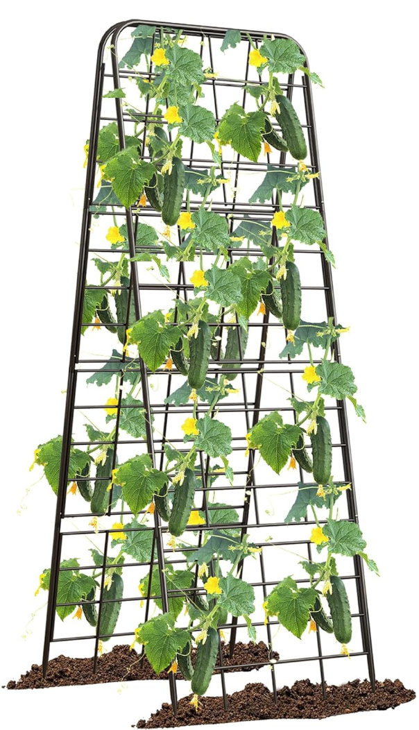 Garden Trellises