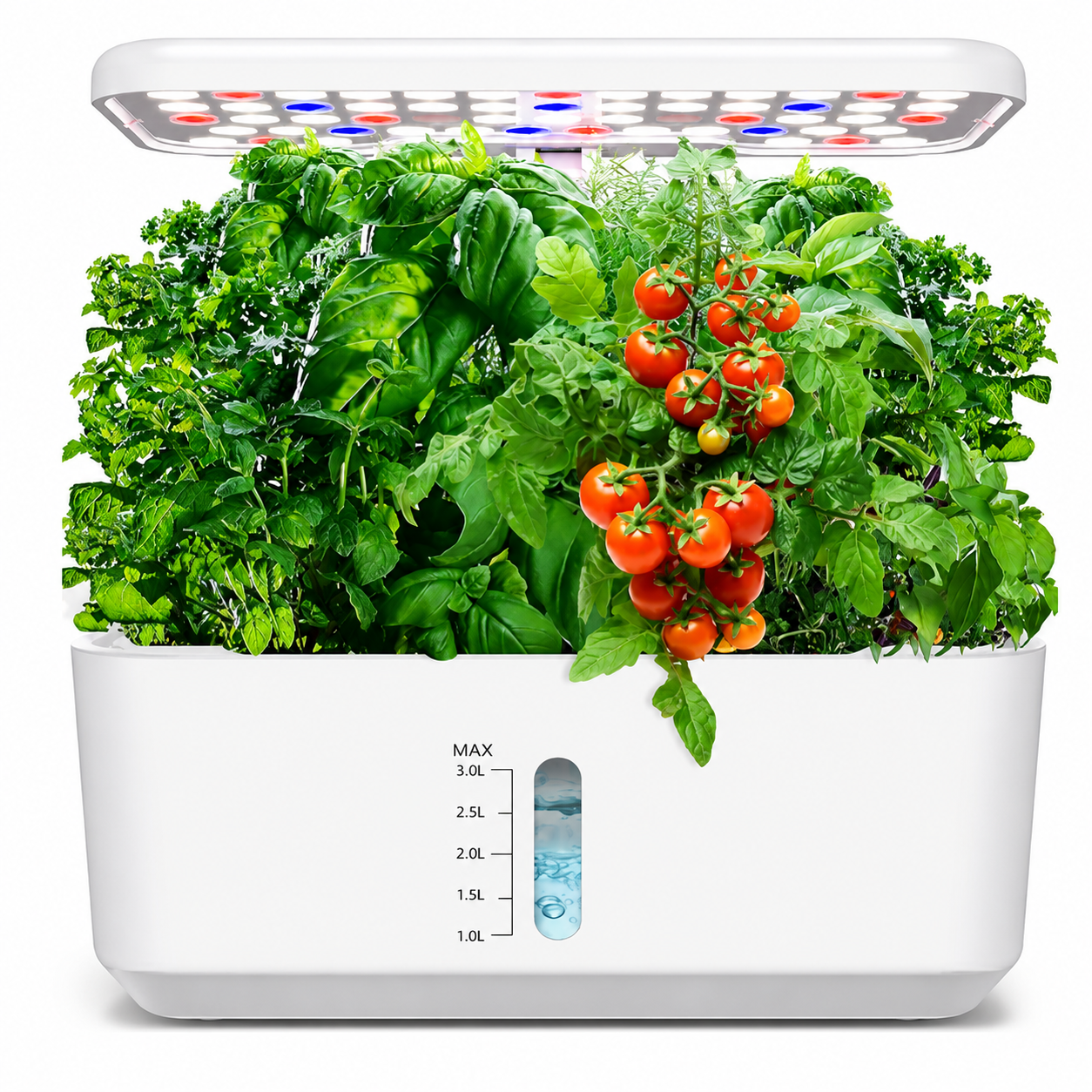 Indoor Growing Kits