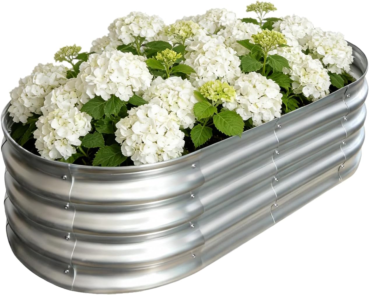 Compact Raised Beds