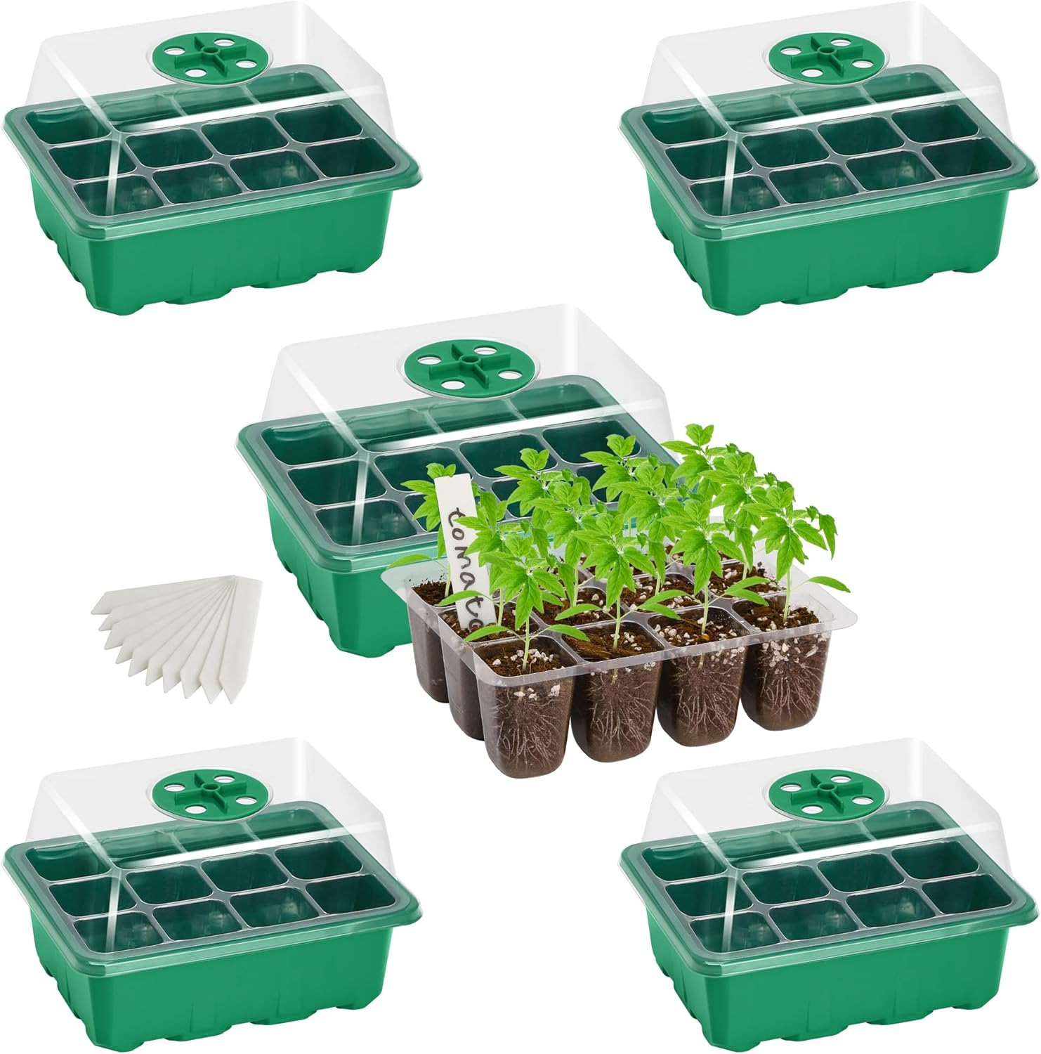 Seed Starter Kits