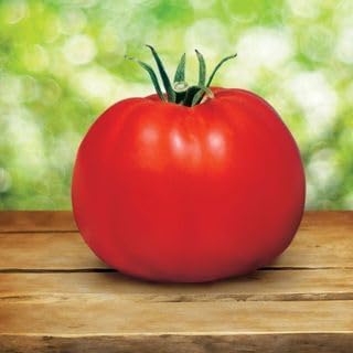 Park Seed Ultimate Garden Seed Collection – Non-GMO Heirloom Vegetable, Herb & Flower Kit with 30 Premium Varieties for All Seasons – Raised Beds, Plots & Containers, Total of 4,650 Seeds