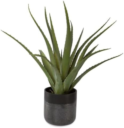 Uttermost 60204 Tucson - Planter-19 Inches Tall and 17 Inches Wide