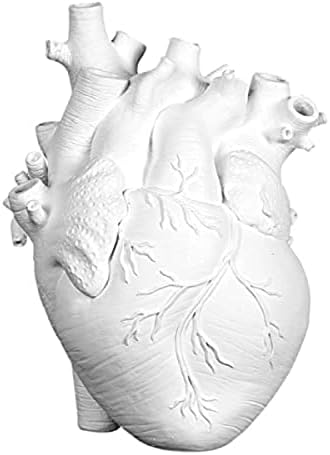 Resin Vase Planter, Decorative Heart Vase - Anatomical Heart Tabletop Decorative Craft, Farmhouse Living Room Bedroom Countertop (White,Large)