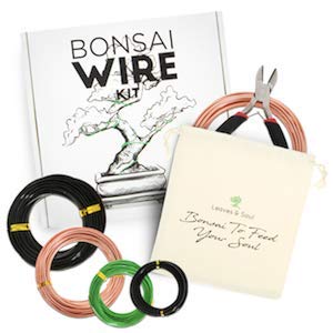 Bonsai Wire Kit 160ft with Cutter & Canvas Bag| 5 Rolls Aluminum Bonsai Training Wire Set for Tree Shaping| Bonsai Tools, Plant Training Wire, Bonsai Starter Kit Supplies for Beginners & Professionals