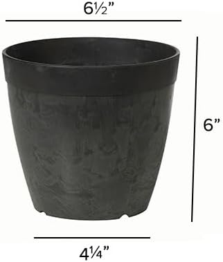 Root & Vessel Dolce Round Planter, Black, 6"