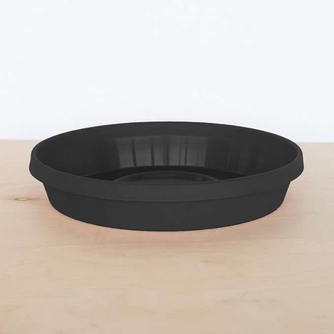 Bloem Terra Resin Saucer Tray: 9.25" Bottom Width - Black - Matte, Durable, Ribbed Bottom, Indoor and Outdoor, Fits 12" Terra Pots