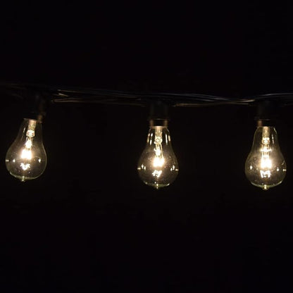 Hometown Evolution, Inc. Commercial Grade Vintage Edison Outdoor String Lights (PS50 Clear - Commercial Black Wire, 25 ft)
