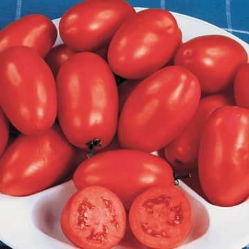 Park Seed Ultimate Vegetable Soup Seed Collection – Non-GMO Heirloom Garden Kit with Onion, Carrot, Celery, Roma Tomato & Corn – Flavorful Picks for Homemade Broths & Meals, Total of 880 Seeds