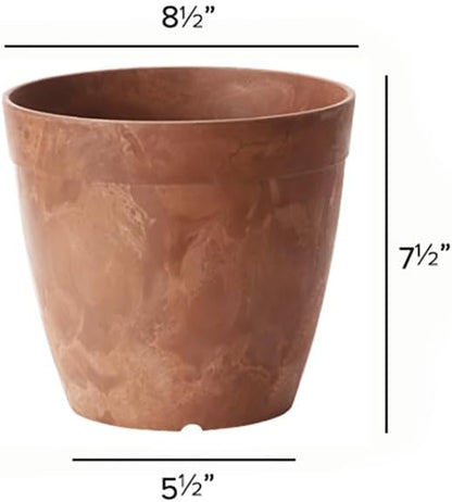 Root & Vessel Dolce Round Planter, Rust, 8"
