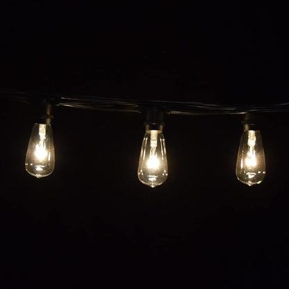 Hometown Evolution, Inc. Commercial Grade Vintage Edison Outdoor String Lights (ST40 Clear - Commercial Black Wire, 25 ft)