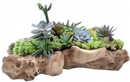 DOITOOL Imitation Tree Root Flower Pot 13.38X4.72X3.54In Resin Succulent Planter for Indoor Outdoor Garden Desk Decoration