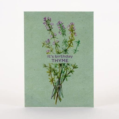 It's Birthday Thyme - Thyme Seed Packets - 25 Packets - Herb Seeds - Garden Seed to Grow Live Plants - A Beautiful Valentines Gift - Bentley Seed Co.