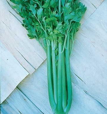 Park Seed Ultimate Vegetable Soup Seed Collection – Non-GMO Heirloom Garden Kit with Onion, Carrot, Celery, Roma Tomato & Corn – Flavorful Picks for Homemade Broths & Meals, Total of 880 Seeds
