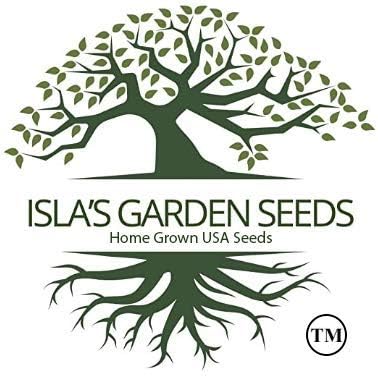 Imperator 58 Carrot Seeds (Daucus carota) – 500+ Non-GMO & Heirloom Seeds, Long and Sweet Carrots for Juicing, Fresh Eating, and Cooking, by Isla’s Garden Seeds, Great Gardening Gift