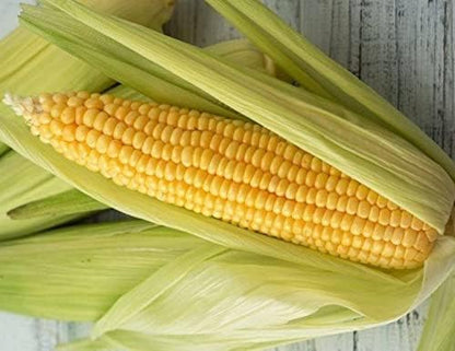 Seeds Sugar Corn Sweet Giant Heirloom Vegetable Non GMO for Planting