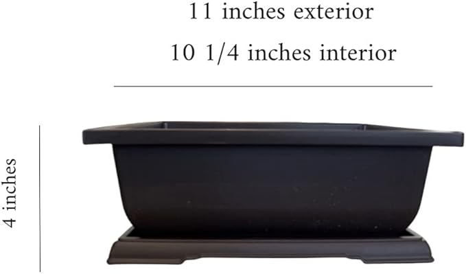 CZ Grain Large Bonsai Pot and Drip Tray - 11 inch Rectangle Container with Tray - Durable Container for Indoor and Outdoor Plants - Planter for Bonsai Trees, Indoor Plants & Herbs